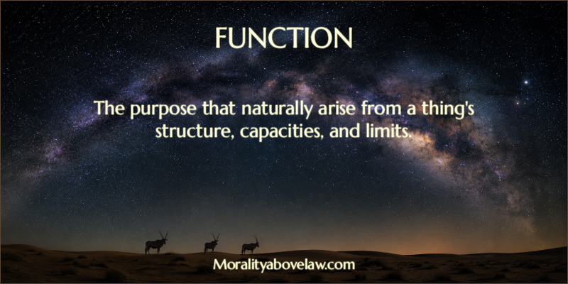 Function